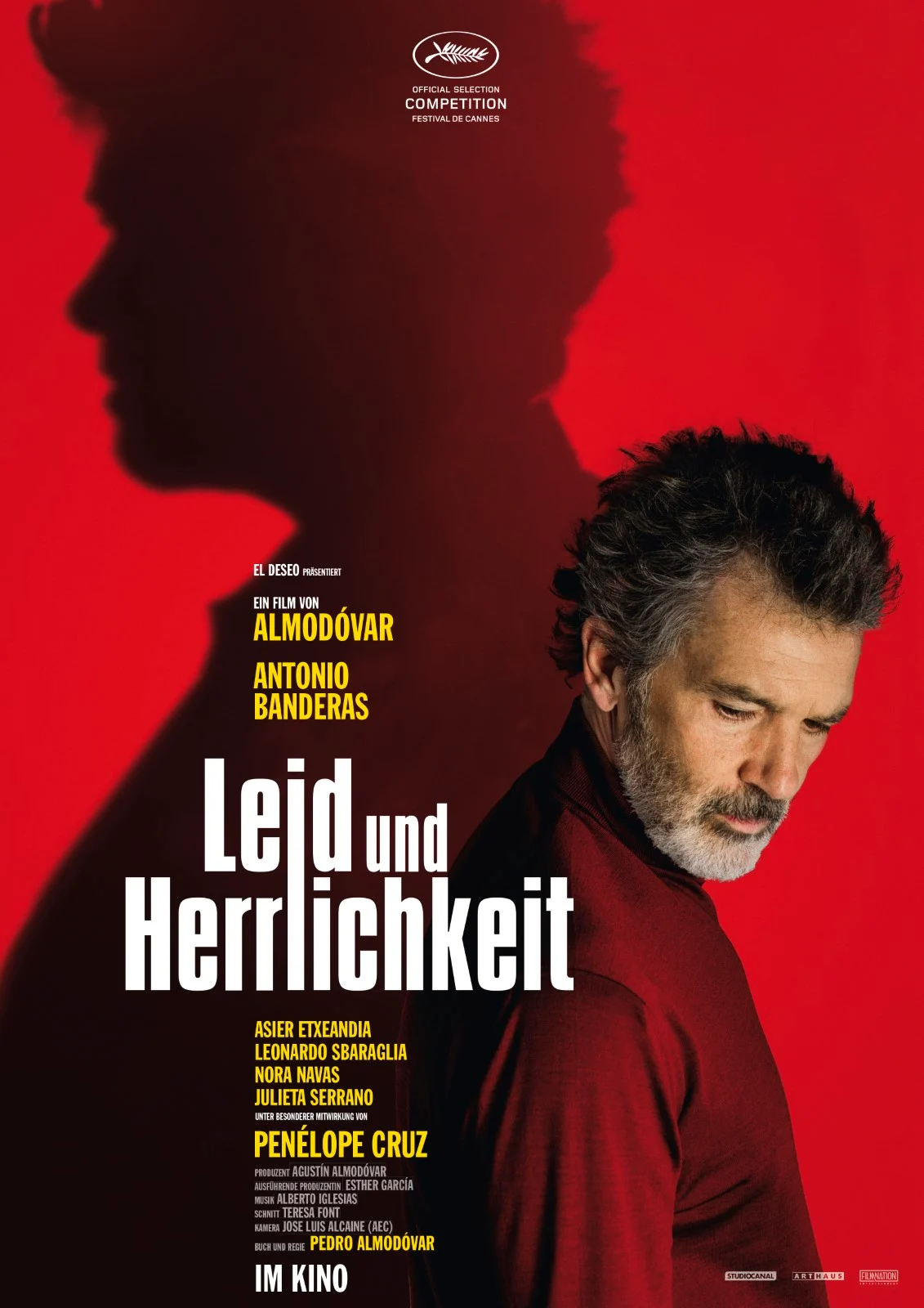 Kino im Saal - "Leid und Herrlichkeit" (2019)